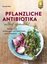 Bild von Ritter, Claudia: Pflanzliche Antibiotika selbst gemacht