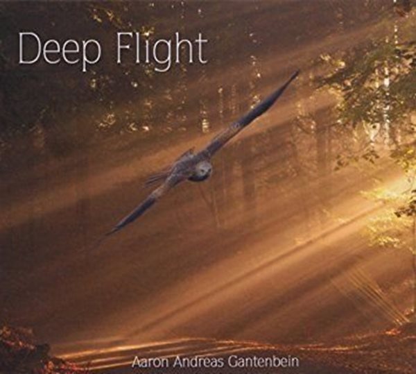 Bild von Gantenbein, Aaron Andreas: Deep Flight (CD)