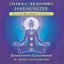Bild von Goldman, Jonathan & Andi: Tantra of Sound Chakra/Brainwave Harmonizer (CD)