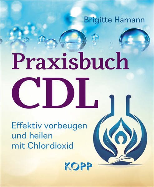 Bild von Hamann, Brigitte: Praxisbuch CDL
