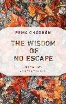 Bild von Chödrön, Pema: The Wisdom of No Escape