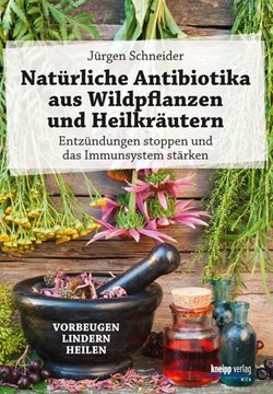 Bild von Schneider, Jürgen: Natürliche Antibiotika aus Wildpflanzen und Heilkräutern