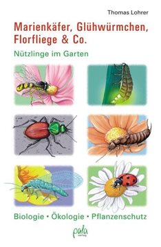 Bild von Lohrer, Thomas: Marienkäfer, Glühwürmchen, Florfliege & Co