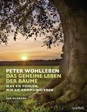 Bild von Wohlleben, Peter: Das geheime Leben der Bäume