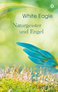 Bild von Eagle, White: Naturgeister und Engel