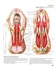 Bild von Tengs, Svenja (Übers.): YOGA - Atlas der Anatomie