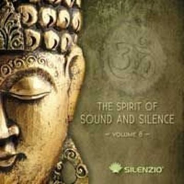 Bild von V.A. (Kennenlern-CD): The Spirit of Sound & Silence Vol. 8*