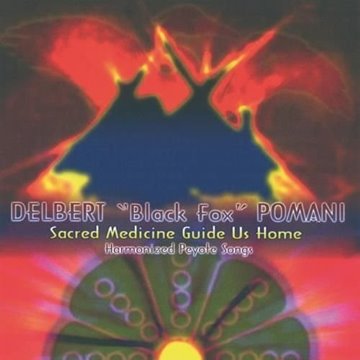 Bild von Pomani, Delbert Black Fox: Sacred Medicine Guide us Home (CD)