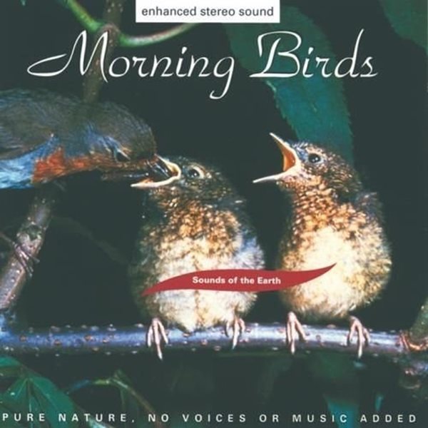 Bild von Sounds of the Earth - David Sun: Morning Birds (CD)