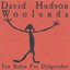 Bild von Hudson, David: Woolunda - Ten Solos for Didgeridoo (CD)