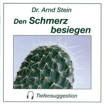 Bild von Stein, Arnd: Den Schmerz besiegen (GEMA-Frei) (CD)