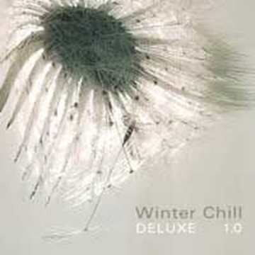 Bild von V. A. (Black Flame): Winter Chill Deluxe 1.0 (CD)