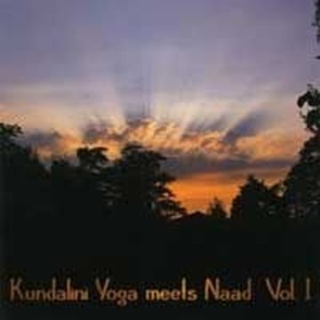 Bild von Poets of Male Energy: Kundalini Yoga Meets Naad Vol. 1 (CD)