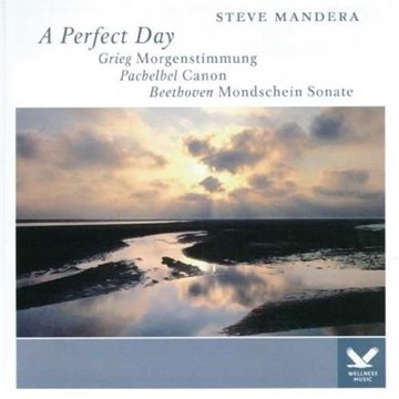 Bild von Mandera, Steve: A Perfect Day (GEMA-Frei) (CD)