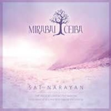 Bild von Mirabai Ceiba: Sat Narayan - 2011 remix (CD)