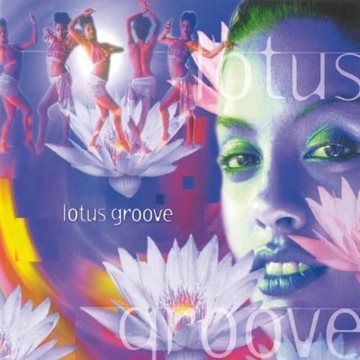 Bild von V. A. (Music Mosaic Collection): Lotus Groove (CD)