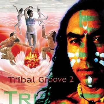 Bild von V. A. (Music Mosaic Collection): Tribal Groove Vol. 2 (CD)