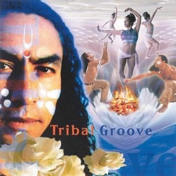 Bild von V. A. (Music Mosaic Collection): Tribal Groove (CD)