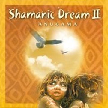 Bild von Anugama: Shamanic Dream Vol. 2 (CD)