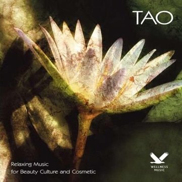 Bild von Dakini Mandarava: Tao (CD)