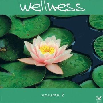 Bild von V. A. (Wellness Music): Wellness Vol. 2 (CD)