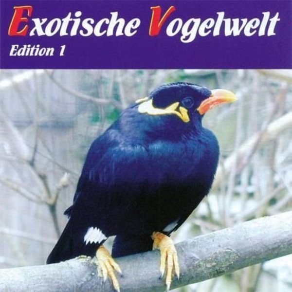 Bild von Dingler, Karl-Heinz: Exotische Vogelwelt* (CD)