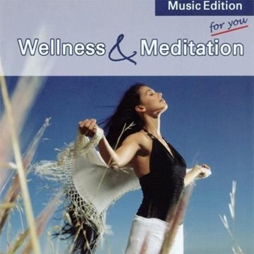 Bild von Stein, Arnd: Wellness & Meditation* (CD)