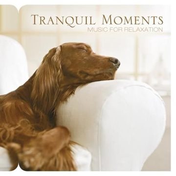 Bild von Somerset Series: Tranquil Moments (CD)