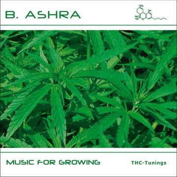 Bild von B. Ashra: Music for Growing (CD)