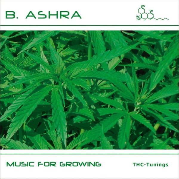 Bild von B. Ashra: Music for Growing (CD)