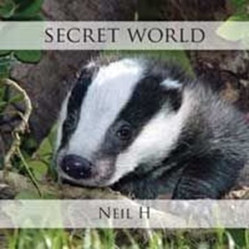 Bild von Neil H: Secret World (CD)