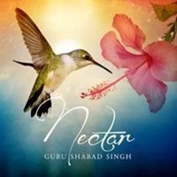 Bild von Guru Shabad Singh: Nectar° (CD)