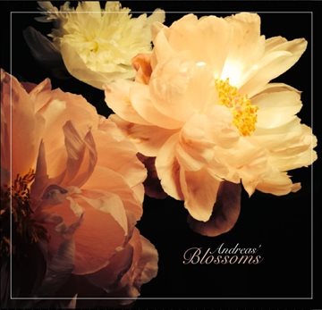 Bild von Andreas: Blossoms° (CD)