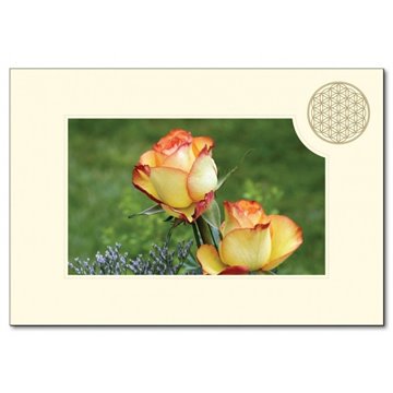Bild von Klappkarte Rose/Blume des Lebens 11.5 cm x 16.7 cm (mit Couvert B6)