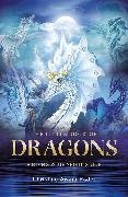 Cover-Bild zu Fader, Christine Arana: The Little Book of Dragons