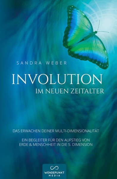 Bild von Weber, Sandra: Involution im neuen Zeitalter
