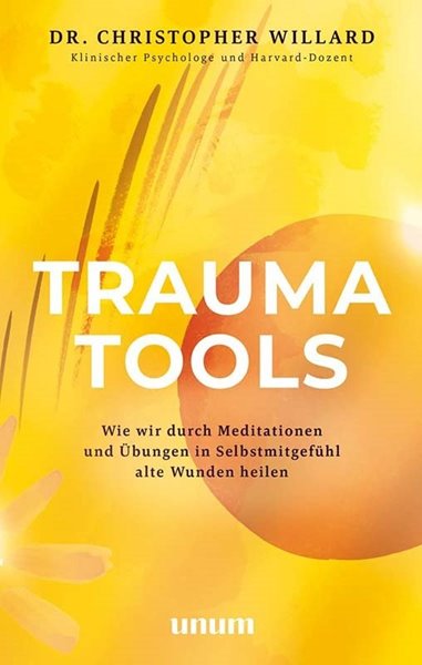 Bild von Willard, Christopher: Trauma Tools