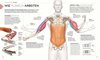 Bild von Ward, Tracy: Pilates - Die Anatomie verstehen