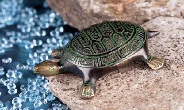 Bild von Schildkröte klein, 10,5 cm