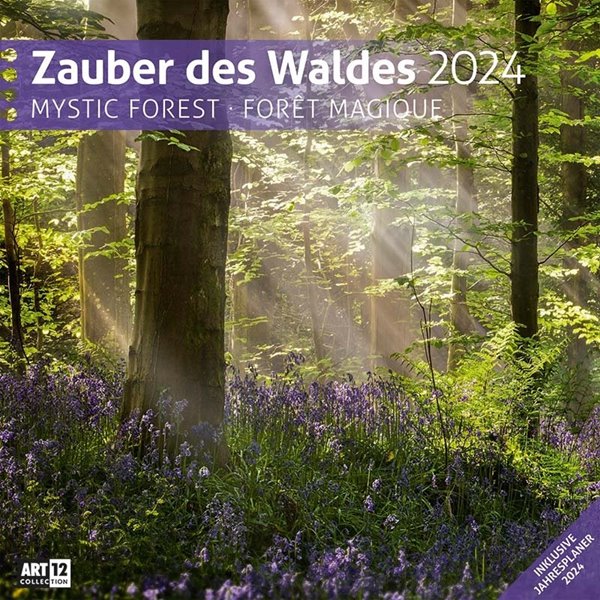 Bild von Ackermann Kunstverlag: Zauber des Waldes Kalender 2024 - 30x30