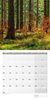 Bild von Ackermann Kunstverlag: Zauber des Waldes Kalender 2024 - 30x30