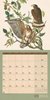 Bild von Ackermann Kunstverlag: Welt der Vögel Kalender 2024 - 30x30