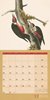 Bild von Ackermann Kunstverlag: Welt der Vögel Kalender 2024 - 30x30