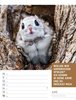 Bild von Ackermann Kunstverlag: Tierisch! Sprüchekalender - Wochenplaner Kalender 2024