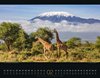 Bild von Ackermann Kunstverlag: Wildes Afrika Kalender 2024