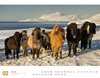 Bild von Ackermann Kunstverlag: Island - Unterwegs zwischen Gletschern und Geysiren Kalender 2024