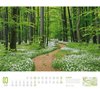 Bild von Ackermann Kunstverlag: Deutschland Wanderland - Die schönsten Wanderwege Kalender 2024