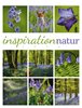 Bild von Ackermann Kunstverlag: Inspiration Natur Kalender 2024