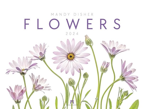 Bild von Disher, Mandy: Flowers - Mandy Disher - Kalender 2024