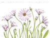 Bild von Disher, Mandy: Flowers - Mandy Disher - Kalender 2024